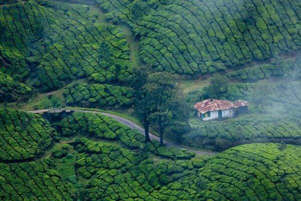 package trip to kerala from bangalore